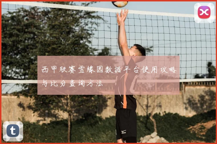 西甲联赛雪缘园数据平台使用攻略与比分查询方法